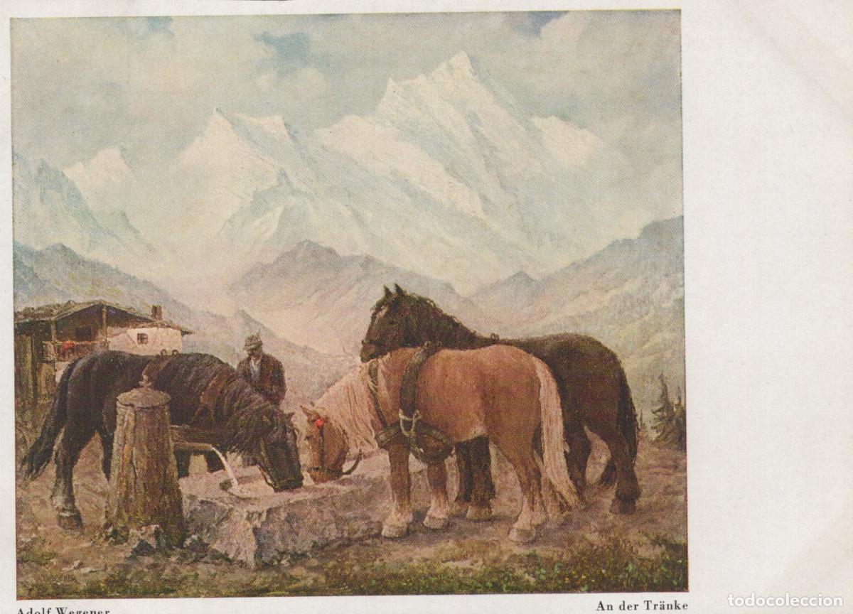 Postales: Adolf Wegener an der Tr&auml;nke Horses Drinking Unposted *YBA344