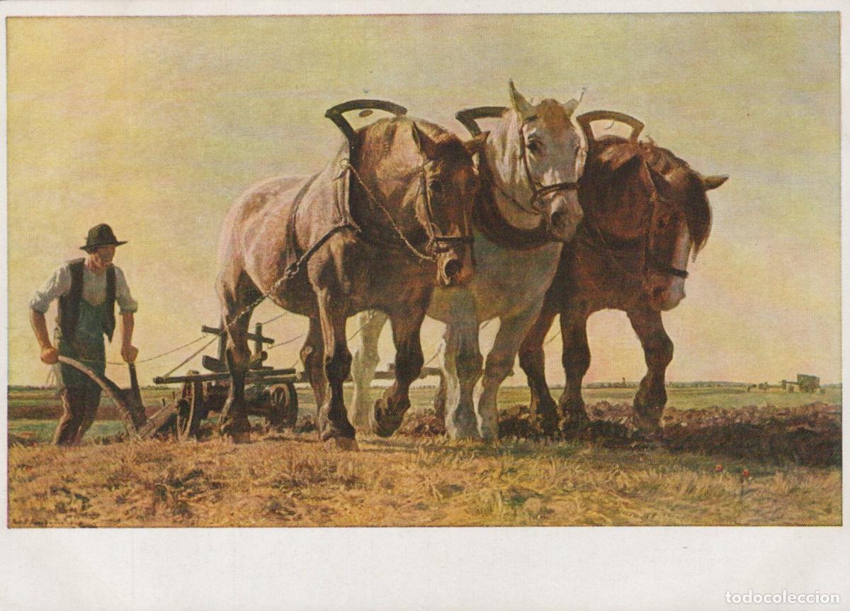 Postales: Junghanns Ploughman with Three Horses Unposted *YBA346