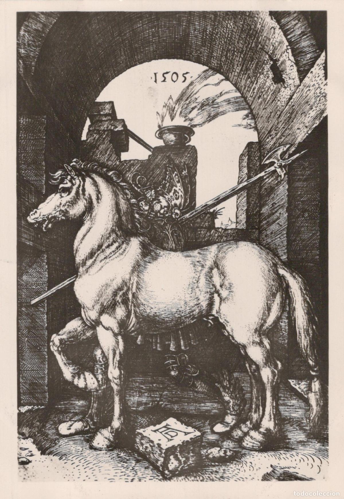 Cartes Postales: Albrecht D&uuml;rer the Small Horse 1505 Museum Dahlem Art Unposted *YBA445