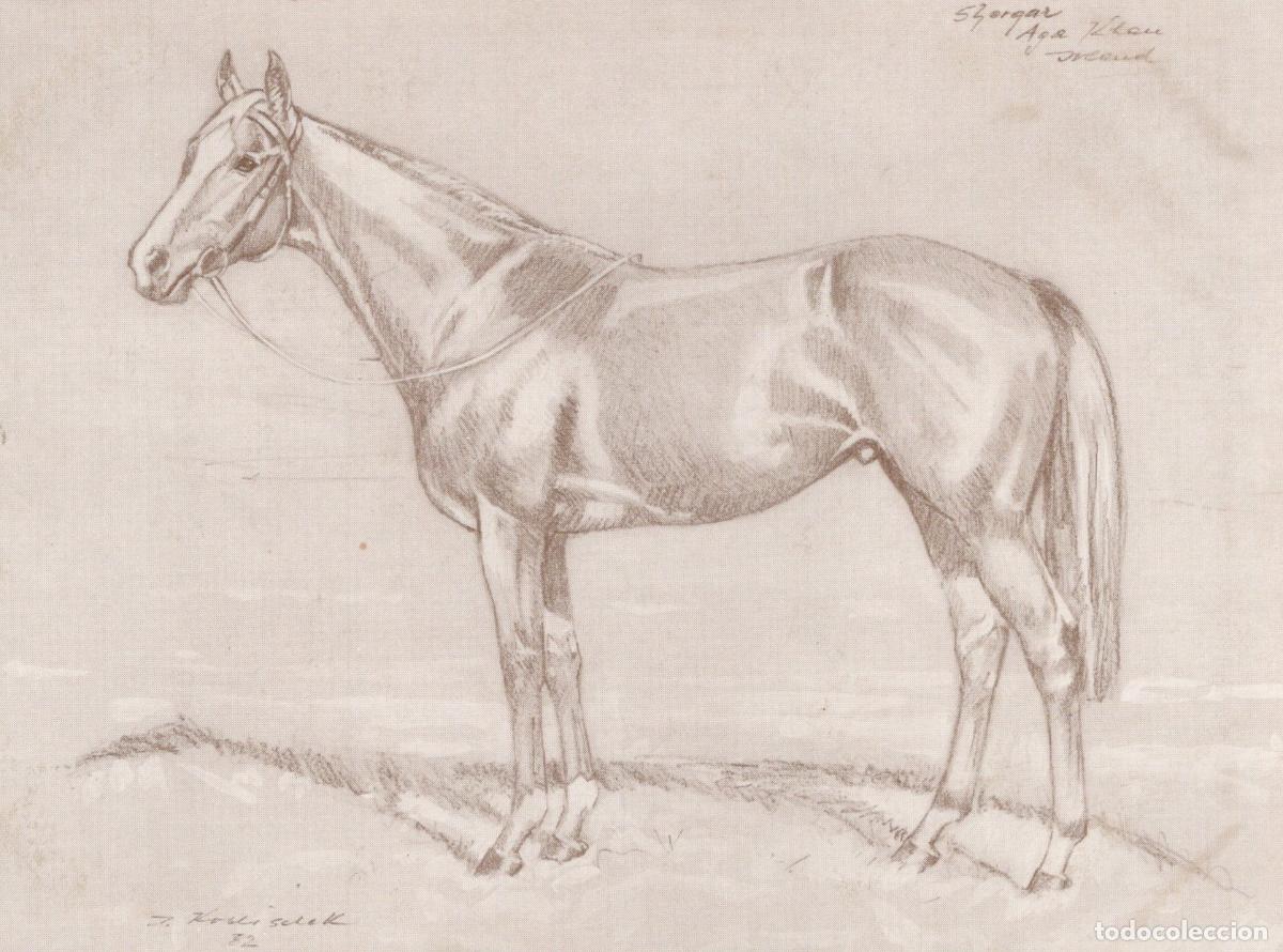 Cartoline: Shergar Aga Khan Racehorse Drawing Unposted *YBA435