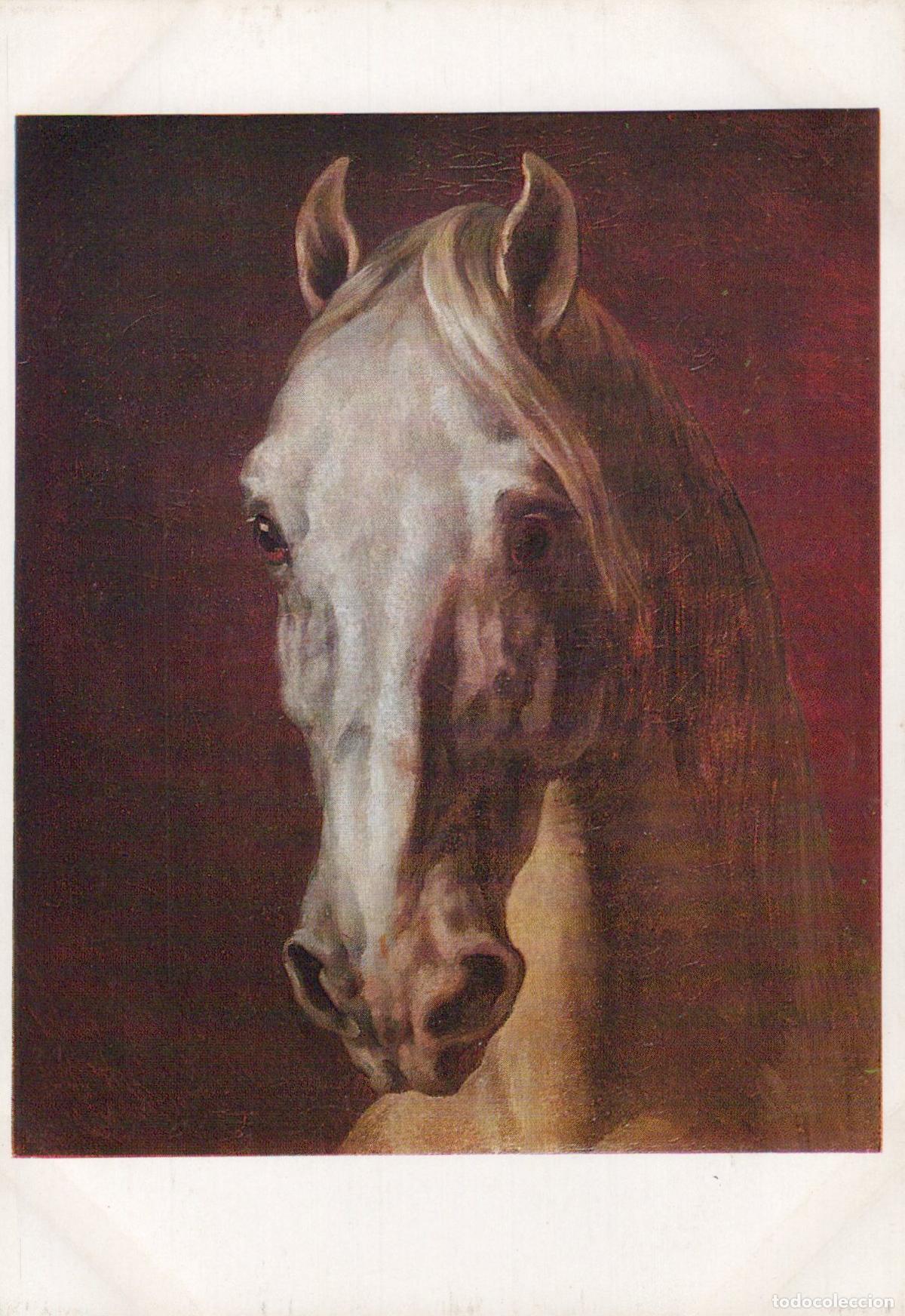 Cartoline: Art Th&eacute;odore G&eacute;ricault Head of Horse Painting Unposted *YBA463