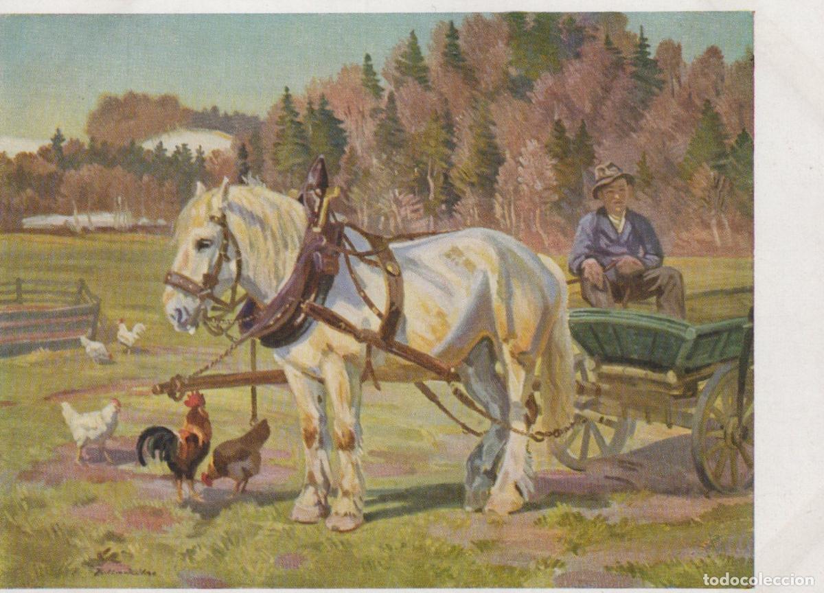 Cartes Postales: Rural Scene With Draft Horse Farmer Cart Unposted *YBA343
