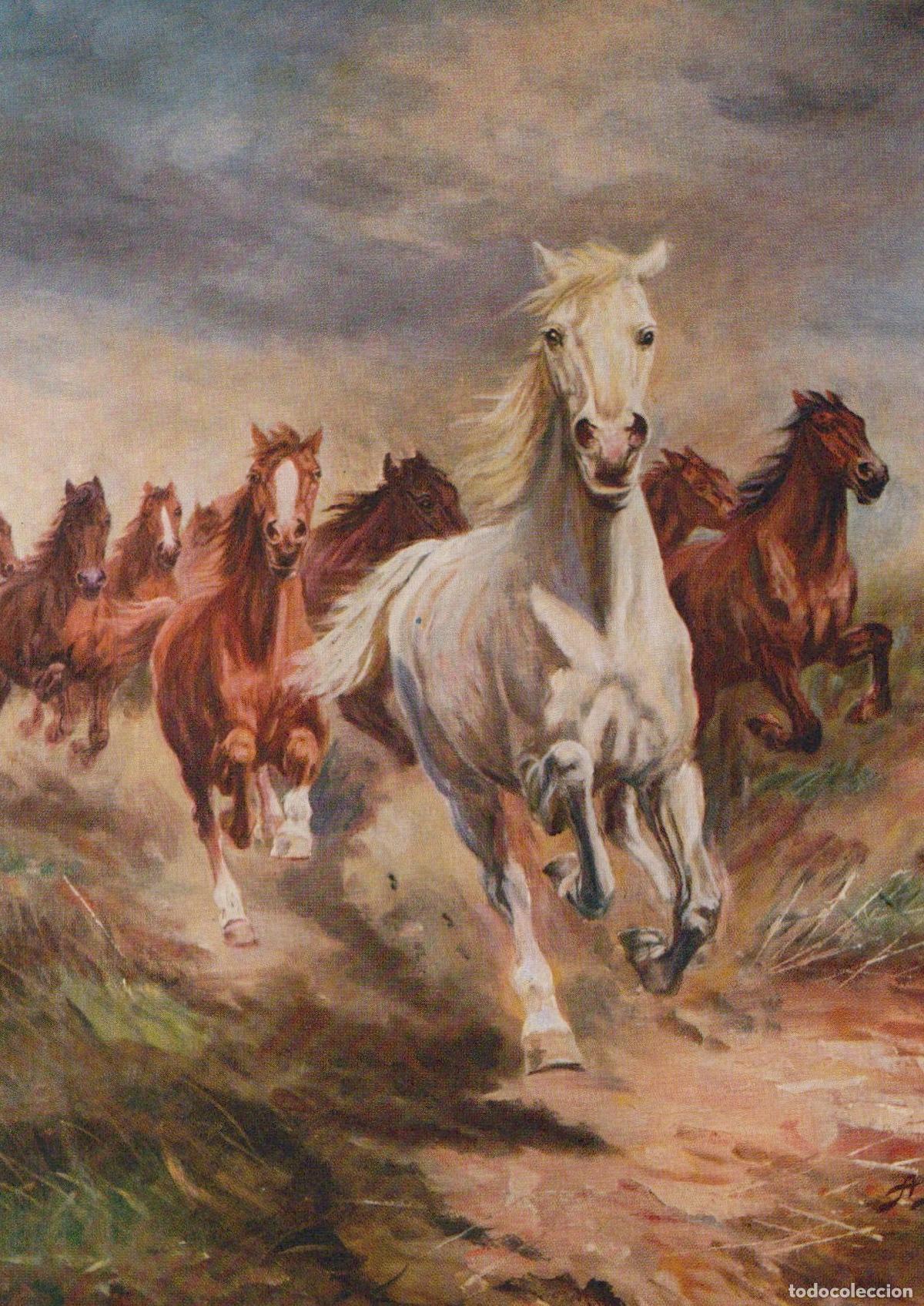 Cartes Postales: Wild Horses Running A Scheloumoff Art Print Unposted *YBA460