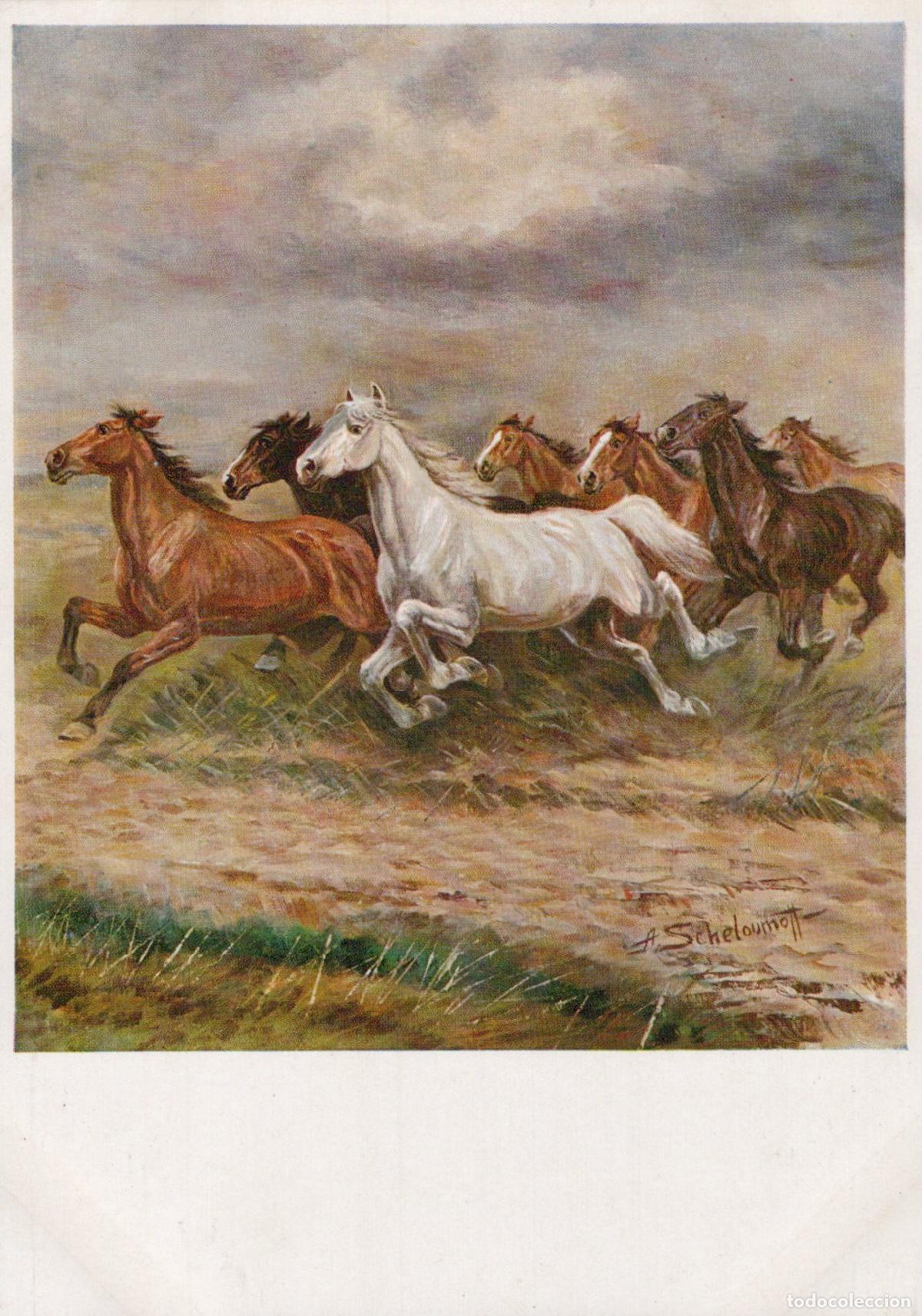 Cartes Postales: Wild Horses Running in A Field By Unposted *YBA462