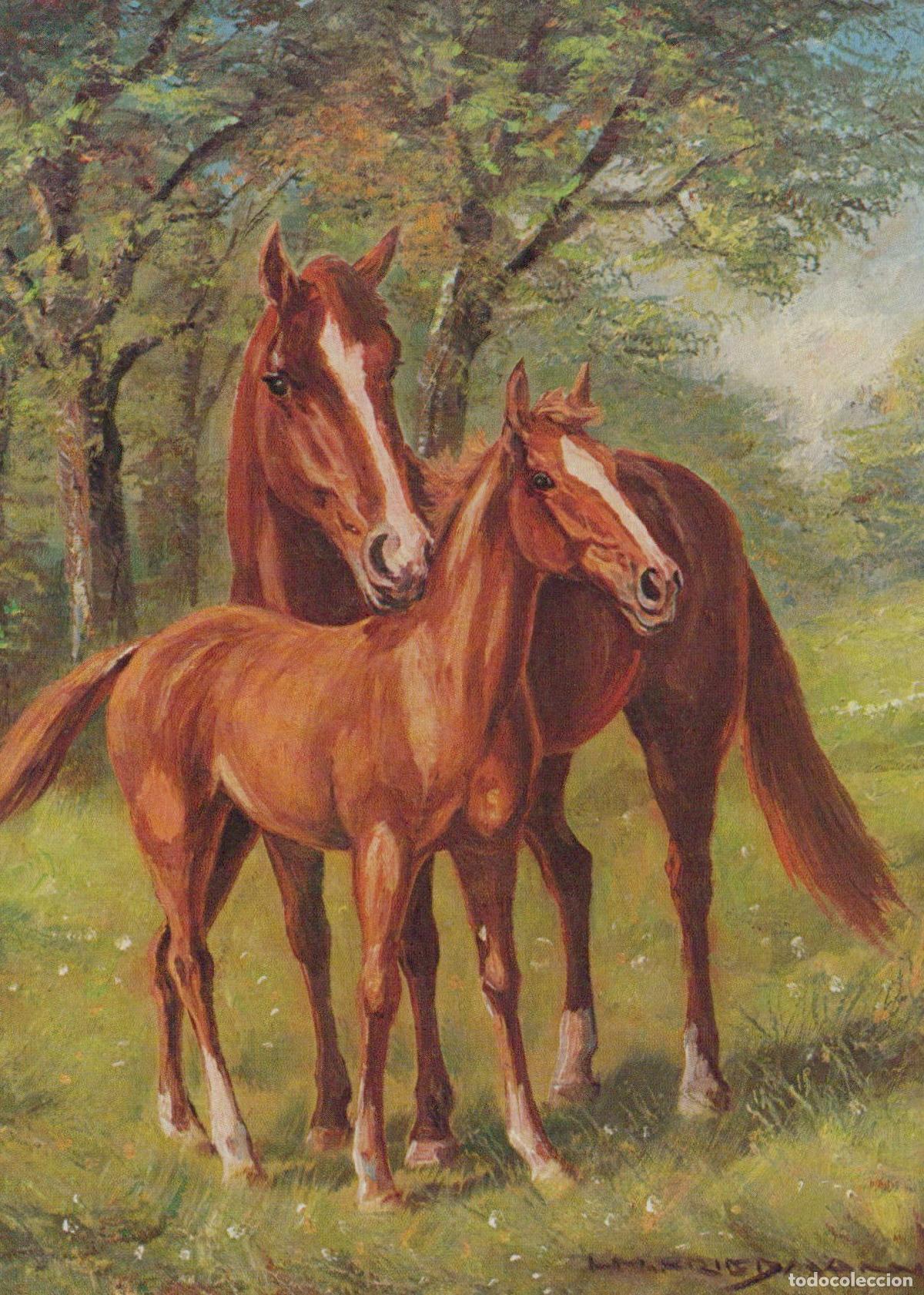 Postales: Mare With Foal Horses Painting By Hans Unposted *YBA515