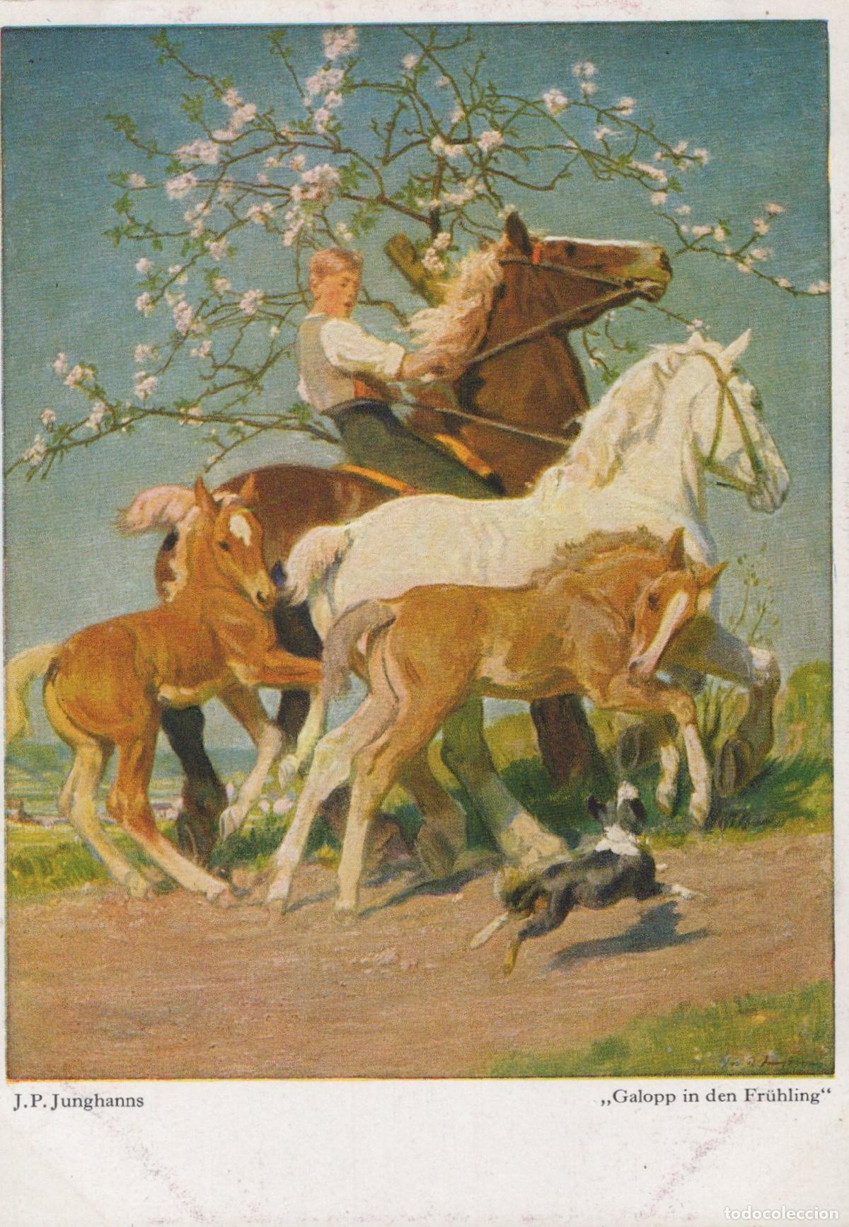 Postales: Junghanns Gallop in Spring Horses Unposted *YBA516