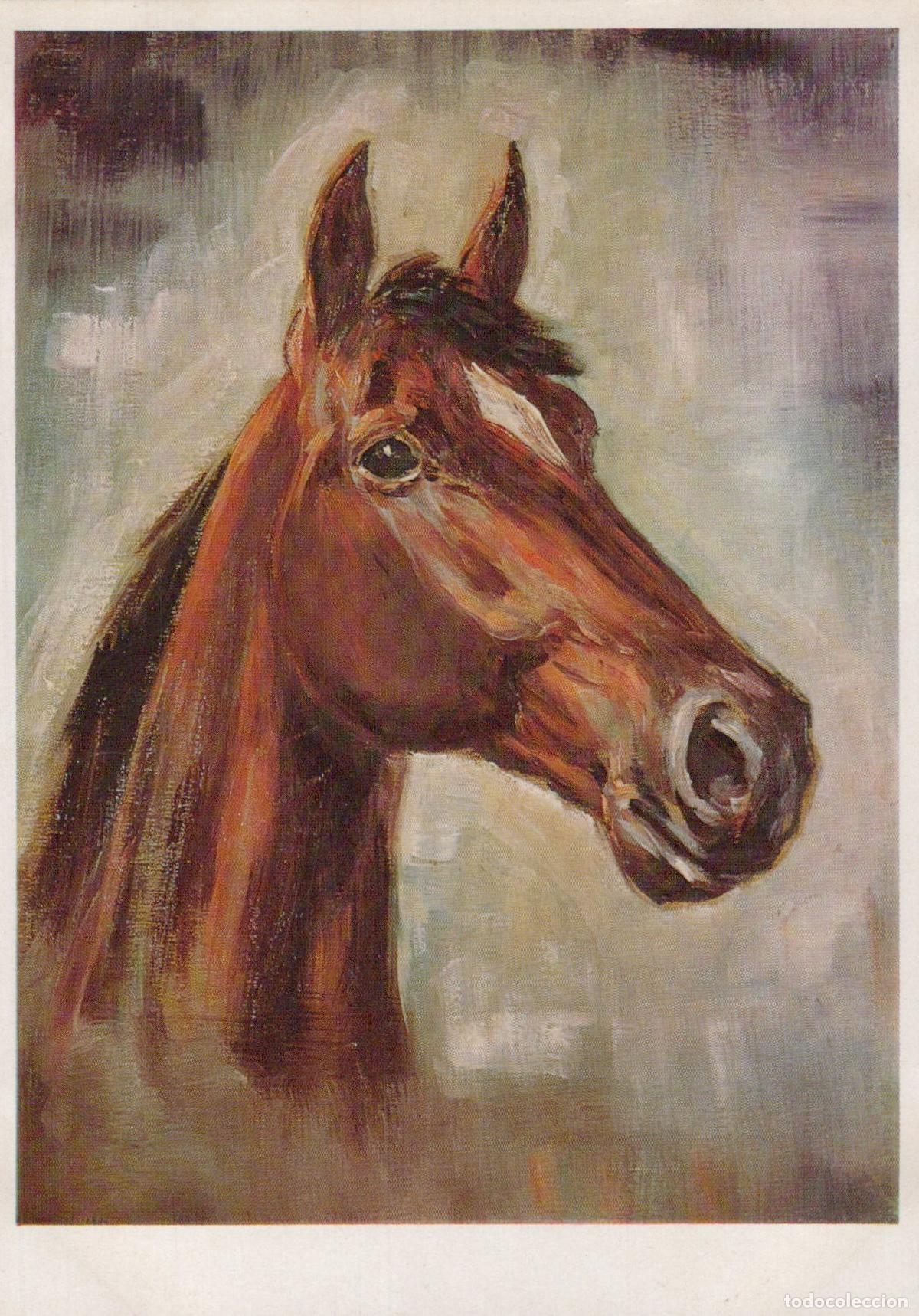 Postales: Horse Head Portrait Painting By Hans Unposted *YBA518