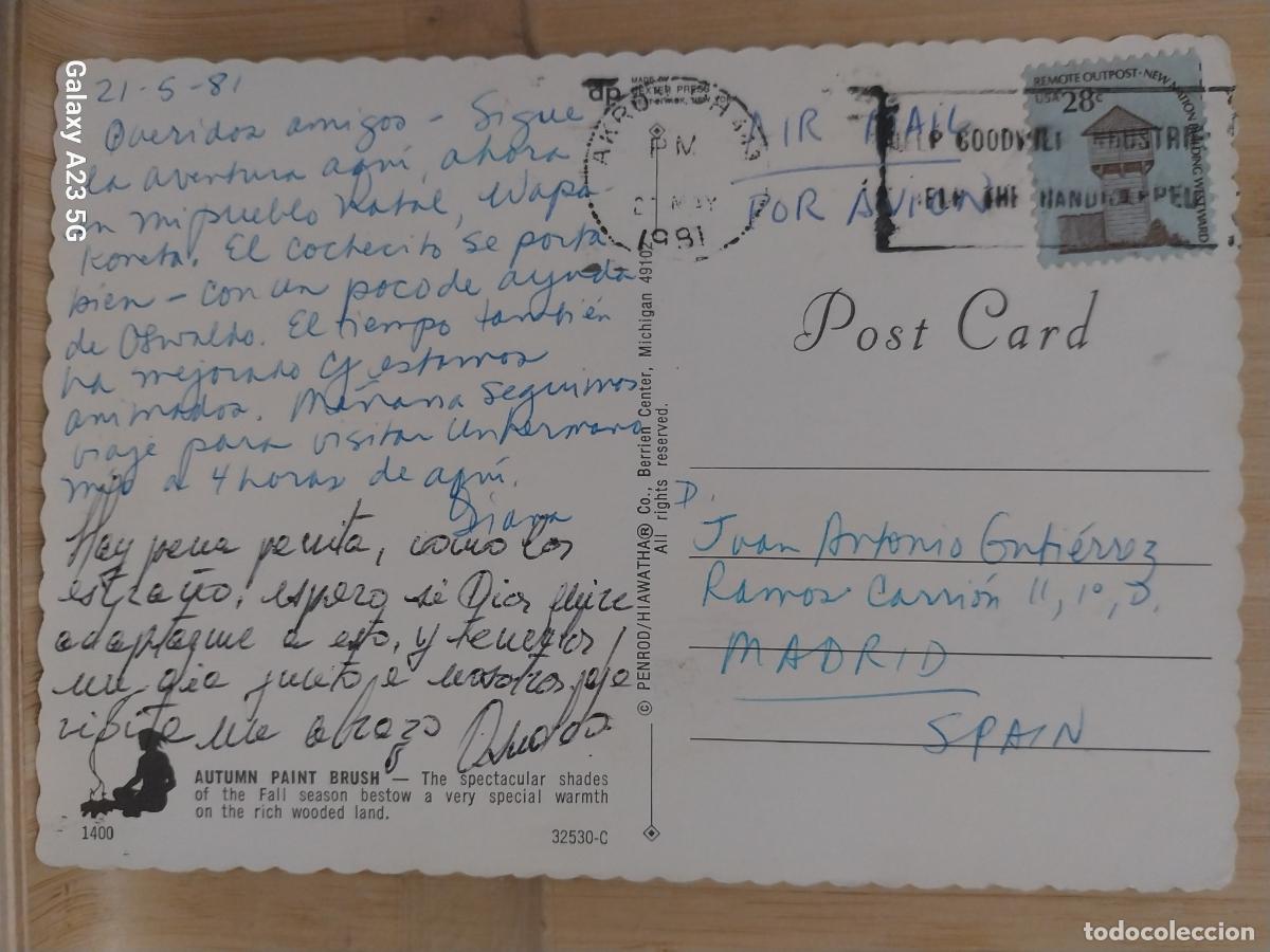 Postales: AUTUM PAINT BRUSH POSTAL CIRCULADA 1981 - Foto 2