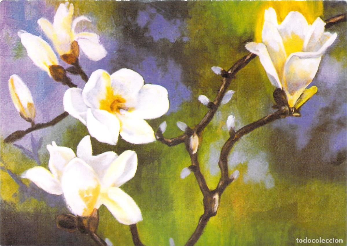 Postales: Postal con Ilustraci&oacute;n Floral del Artista Chae Cholho de Pusan