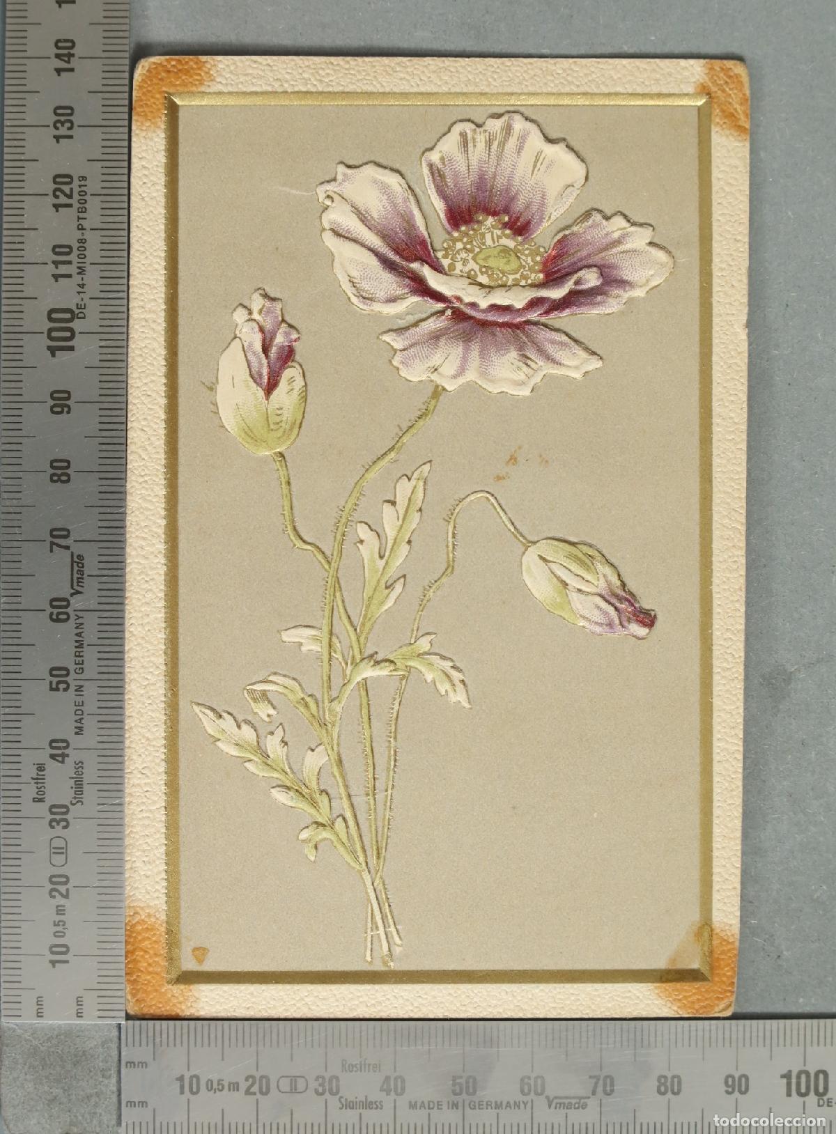 Postales: FOTOGRAFIA. Amapolas ART NOUVEAU