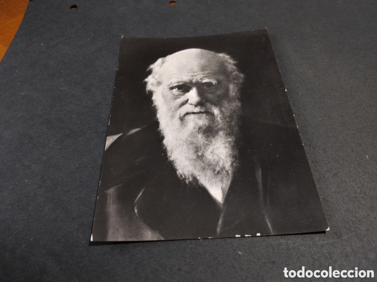 Postales: Postal Charles Robert Darwin