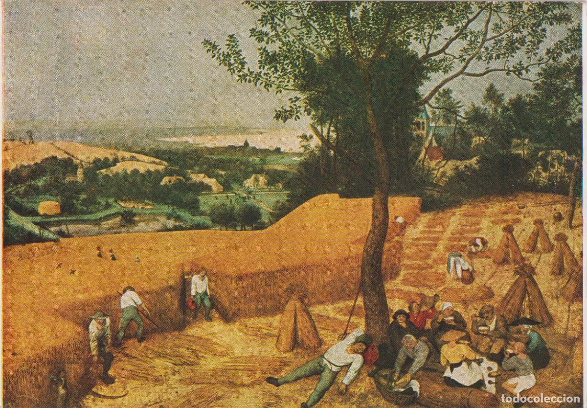 Postales: POSTAL DE LA OBRA DE PIERRE BRUEGHEL, L'&Eacute;T&Eacute; &ndash; EDITIONS NOMIS N&ordm;6231 &ndash; S/C