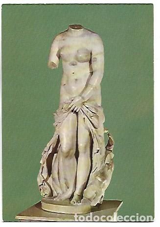Postales: VENERE LANDOLINA - VENUS LANDOLINA.- SIRACUSA / ITALIA