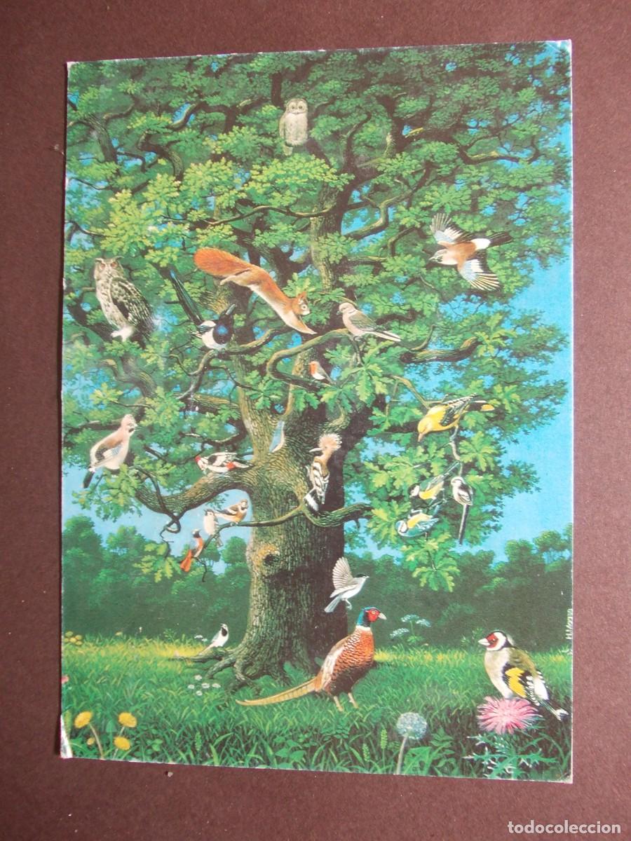 Postkarten: Postal vintage Harro Maass Alle V&ouml;gel sind schon da &aacute;rbol con aves ilustraci&oacute;n alemana naturaleza