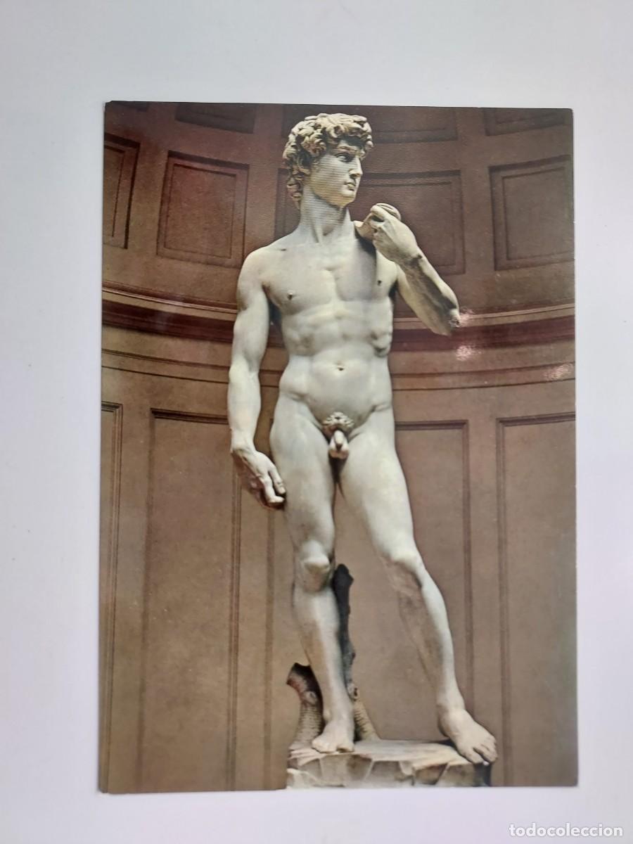 Postales: POSTAL FIRENZE GALLERIE ACCADEMIA. IL DAVID DI MICHELANGELO. SIN CIRCULAR