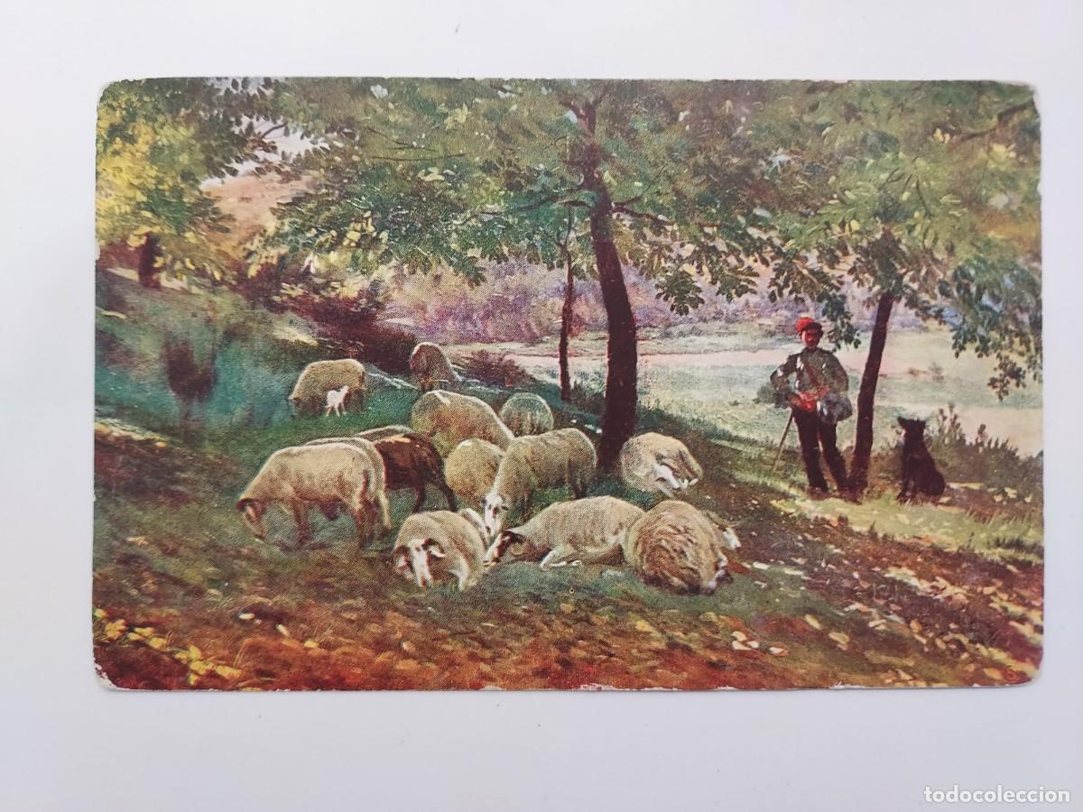 Postales: POSTAL ANTIGUA ILUSTRADA. ROGELIO LOPEZ - APACENTANDO EL REBA&Ntilde;O. S/C. EDITA COLL SALIETI