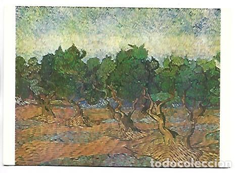 Postales: &rdquo; OLIVE-YARD, VIOLET SOIL &rdquo;.- (VINCENT VAN GOGH).- VAN GOGH MUSEUM, AMSTERDAM