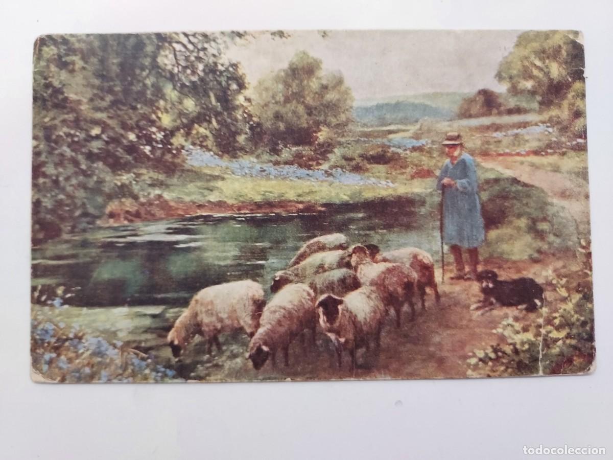 Postcards: POSTAL ANTIGUA. ESCENA RURAL PASTOR, PERRO Y REBA&Ntilde;O OVEJAS - ESCRITA 1925 TOLEDO