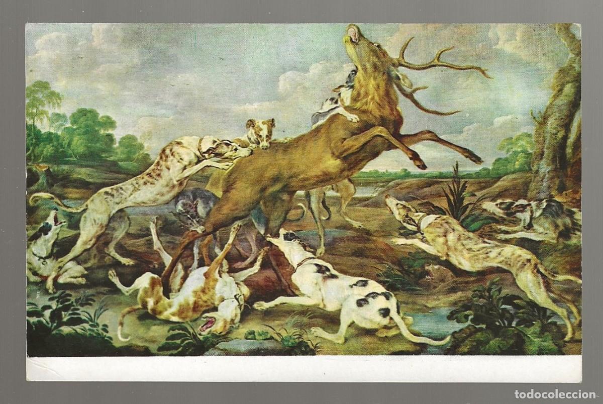 Postales: POSTAL - CIERVO ACOSADO POR UNA JAUR&Iacute;A DE PERROS - PAUL DE VOS - MUSEO DEL PRADO - S/CIRCULAR