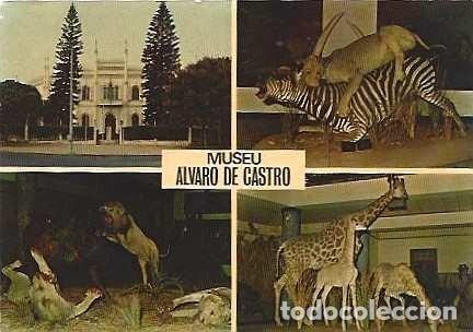 Postales: Mozambique & Marcofilia, Louren&ccedil;o Marques, Museo Alvaro de Castro, Multi, Sines 1973(2047)