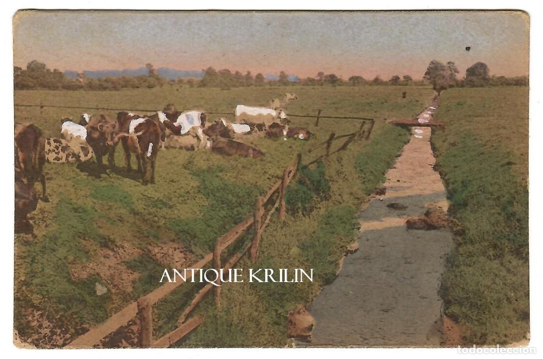 Postales: POSTAL SIN IDENTIFICAR N&ordm; 13008-1 / FRANQUEADA / PRINCIPIOS SIGLO XX