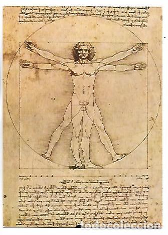 Postales: DISEGNO DI ANATOMIA UMANA, SECONDO PROPORZIONO IDEALI.- LEONARDO DA VINCI