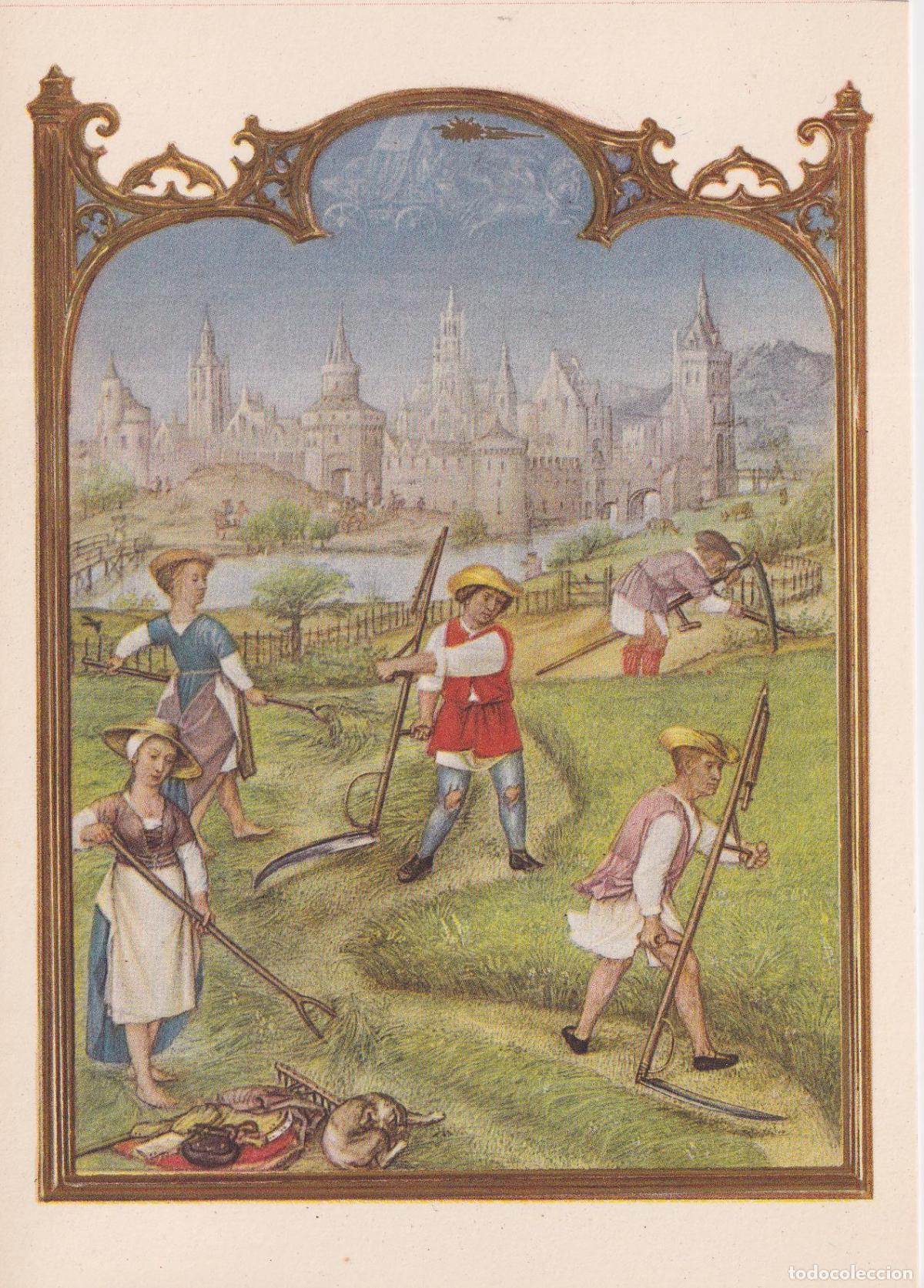 Postales: POSTAL ESCUELA FLAMENCA EL MES DE JUNIO: SIEGA, DEL BREVIARIUM GRIMANI (1515) &ndash; S/C