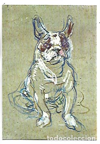 Postales: BOUBOULE - BULL-DOG DE MIIE PALMIRE.- (TOULOUSE-LAUTREC).- MUSEE D`ALBI / FRANCIA
