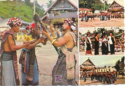 Postales: 7-1381. Postal T&iacute;pica. Sumatra. (Indonesia) - Foto 1