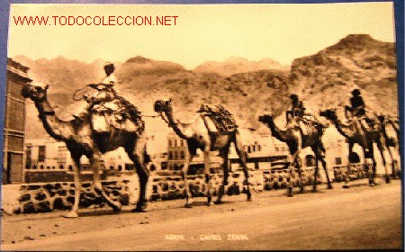Postales: ADEN - CARAVANA DE CAMELLOS - Foto 1
