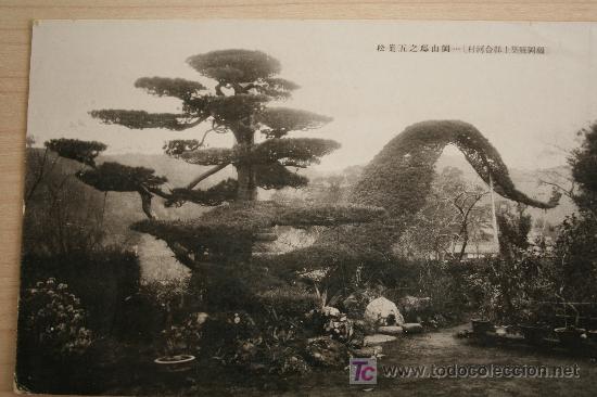 Postales: Antigua Postal Japon. Sin circular - Foto 1