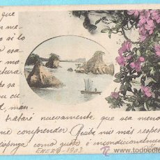 Postales: FLORES Y PAISAJE. JAPÓN. UNION POSTALE UNIVERSELLE. REV SIN DIVIDIR. CIRCULADA EN SOBRE, 1903