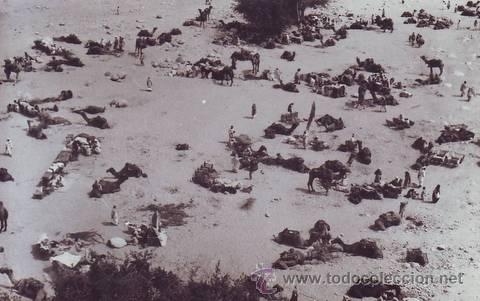 Postales: KARACHI. Camels Rest. Pakistan. - Foto 1