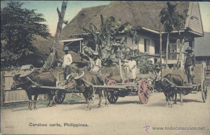 Postales: CARABAO CARTS, PHILIPPINES - Foto 1