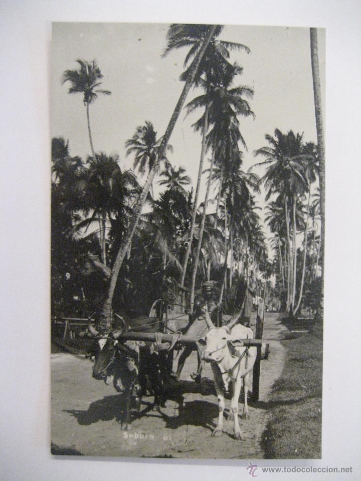 Postales: MALASIA - suburbio de - Foto 1