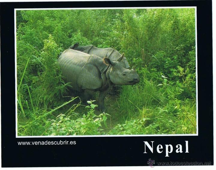 Postales: POSTAL DEL NEPAL SIN CIRCULAR - Foto 1