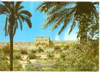 Postales: 7-isra19. Postal Jerusalem. La Puerta de Oro - Foto 1