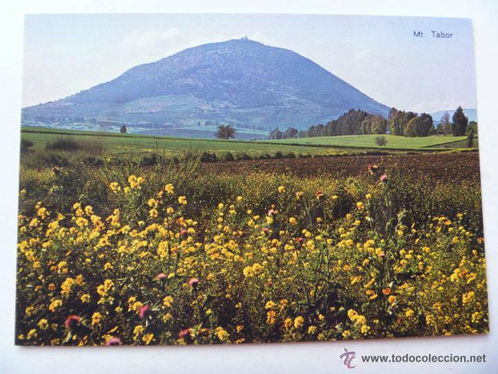 Postales: POSTAL DE ISRAEL : MONTE TABOR. - Foto 1
