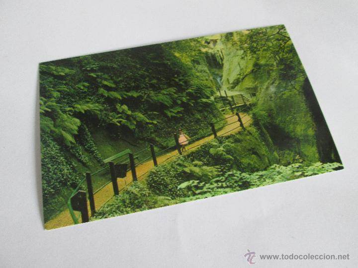 Postales: A&ordf; POSTAL-CHINA-SHANKLIN-NUEVA-SIN CIRCULAR-. - Foto 1