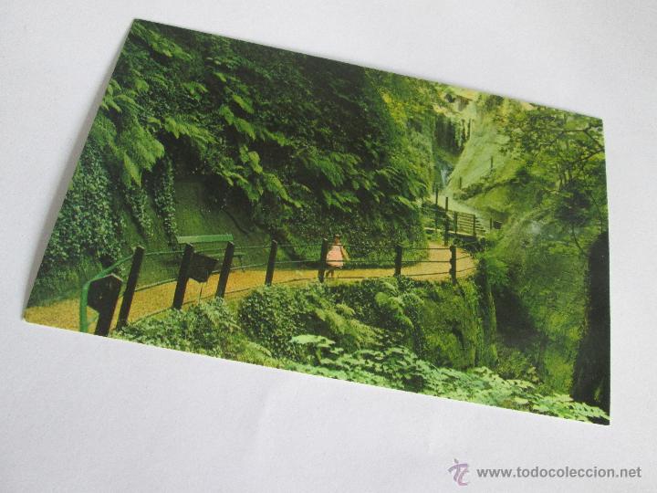Postales: A&ordf; POSTAL-CHINA-SHANKLIN-NUEVA-SIN CIRCULAR-. - Foto 5