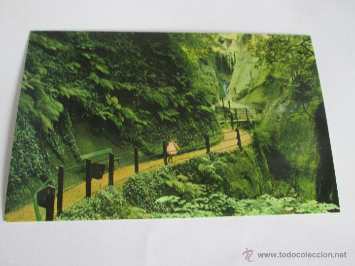 Postales: A&ordf; POSTAL-CHINA-SHANKLIN-NUEVA-SIN CIRCULAR-. - Foto 6