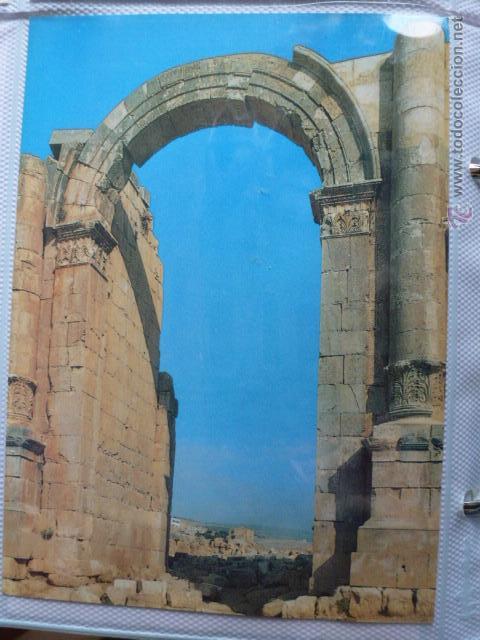 Postales: Postal Jordania. Jerash. Sin circular - Foto 1
