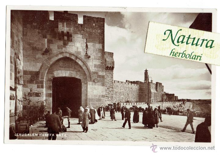 Postales: Postal Jerusalen / Jerusalem / Puerta de Jaffa / Animada - Foto 1