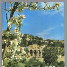 Postales: POSTAL DEL MONTE DE LOS OLIVOS EN JERUSALEN (ESCRITA). Lote 72444511