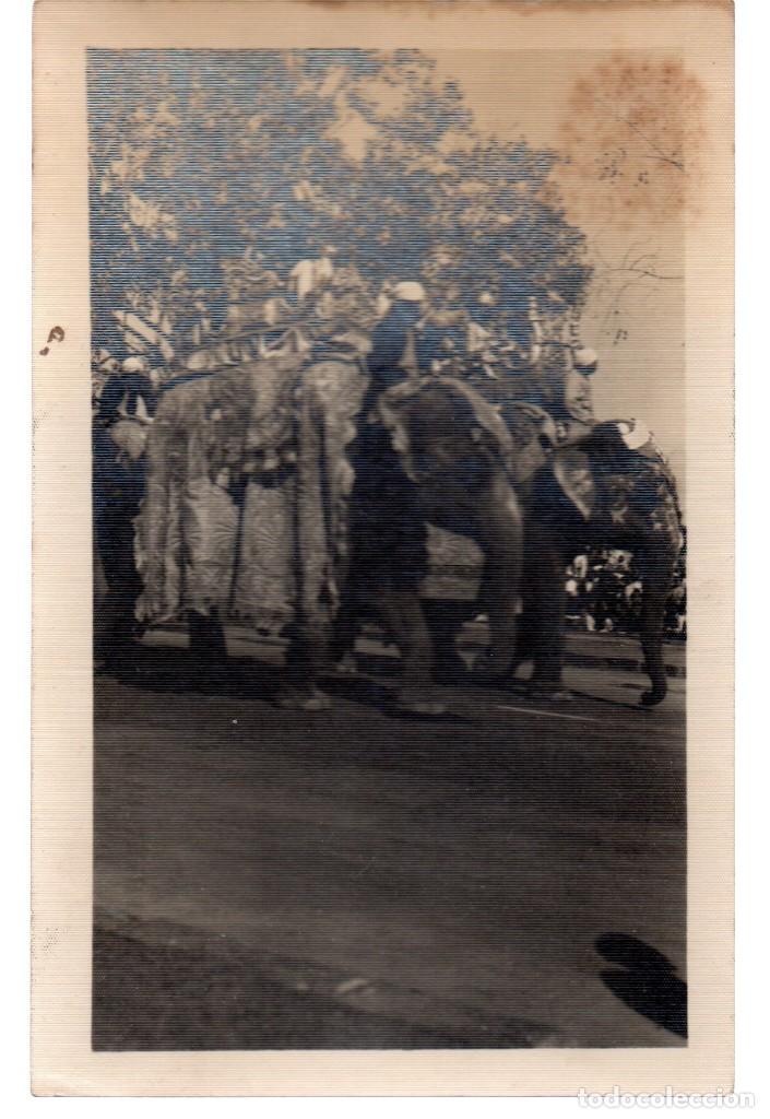 Postales: TARJETA POSTAL ,INDIA, ELEPHANT RIDE. - Foto 1