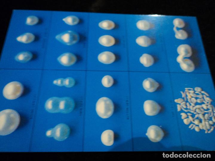 Postales: 14 postales proceso y seleccion de perlas - Foto 9