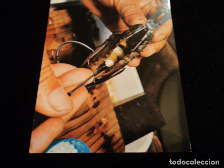 Postales: 14 postales proceso y seleccion de perlas - Foto 13