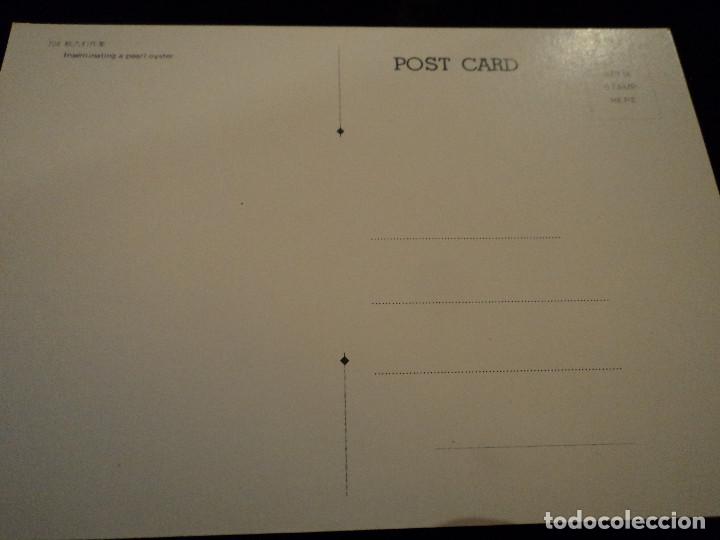 Postales: 14 postales proceso y seleccion de perlas - Foto 14