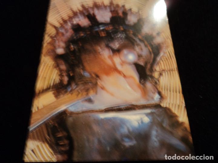 Postales: 14 postales proceso y seleccion de perlas - Foto 15