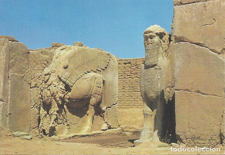 Postales: IRAK - NEMROD - Foto 1
